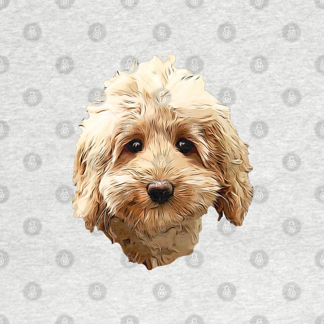 Cavapoo Cockapoo Doodle Cuteness by ElegantCat